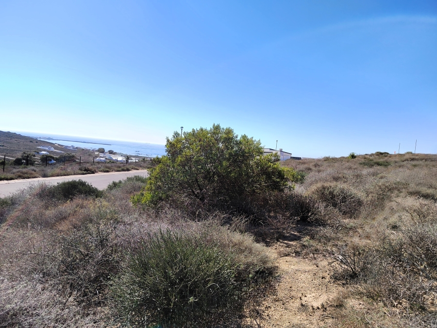 0 Bedroom Property for Sale in Steenbergs Cove Western Cape